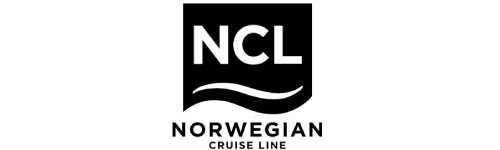 logo finsa